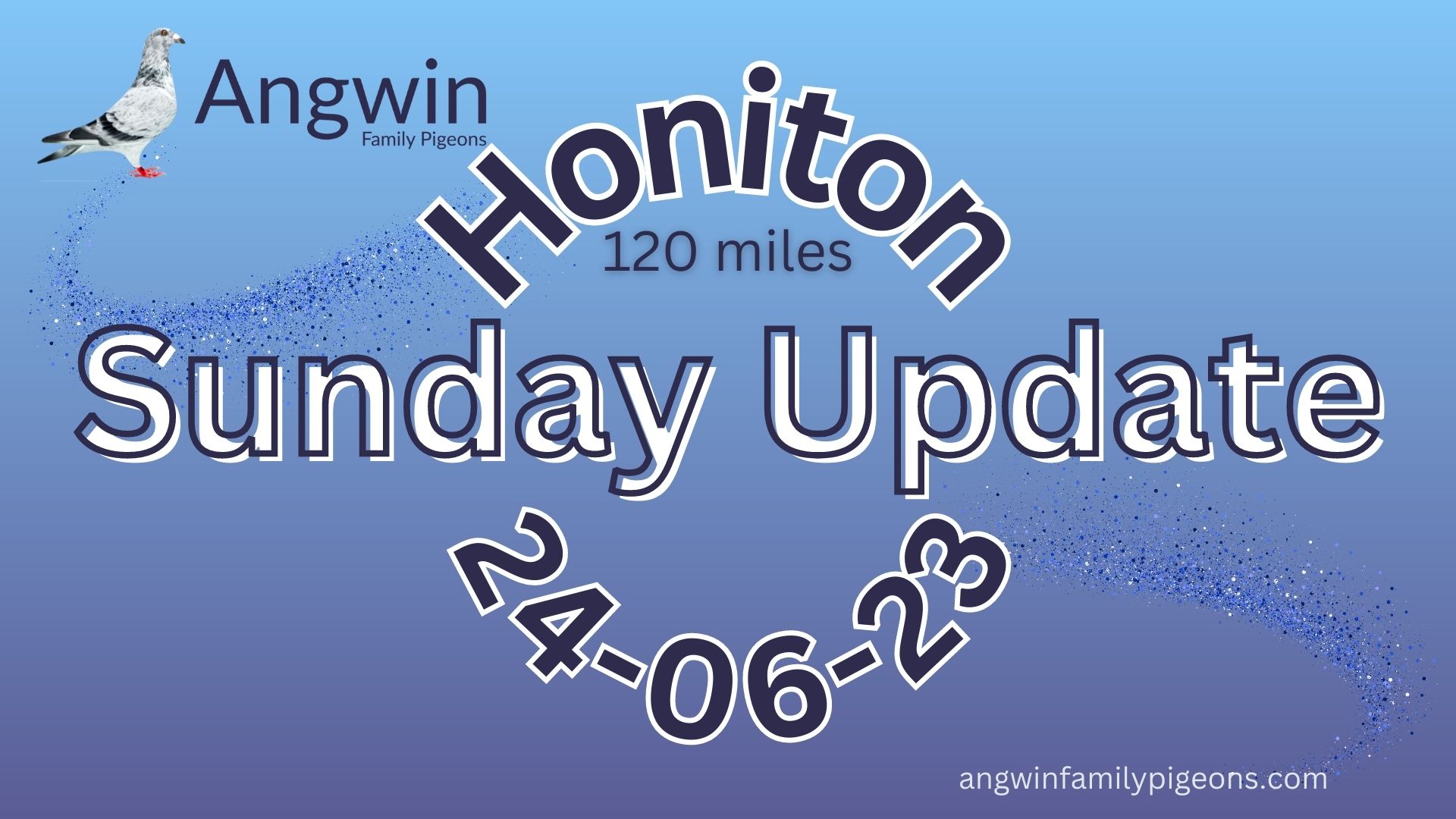 Angwin Family Pigeons – Sunday Update – 25.06.23 – 11th Race of 2023 From Honiton racing 120 miles 😎