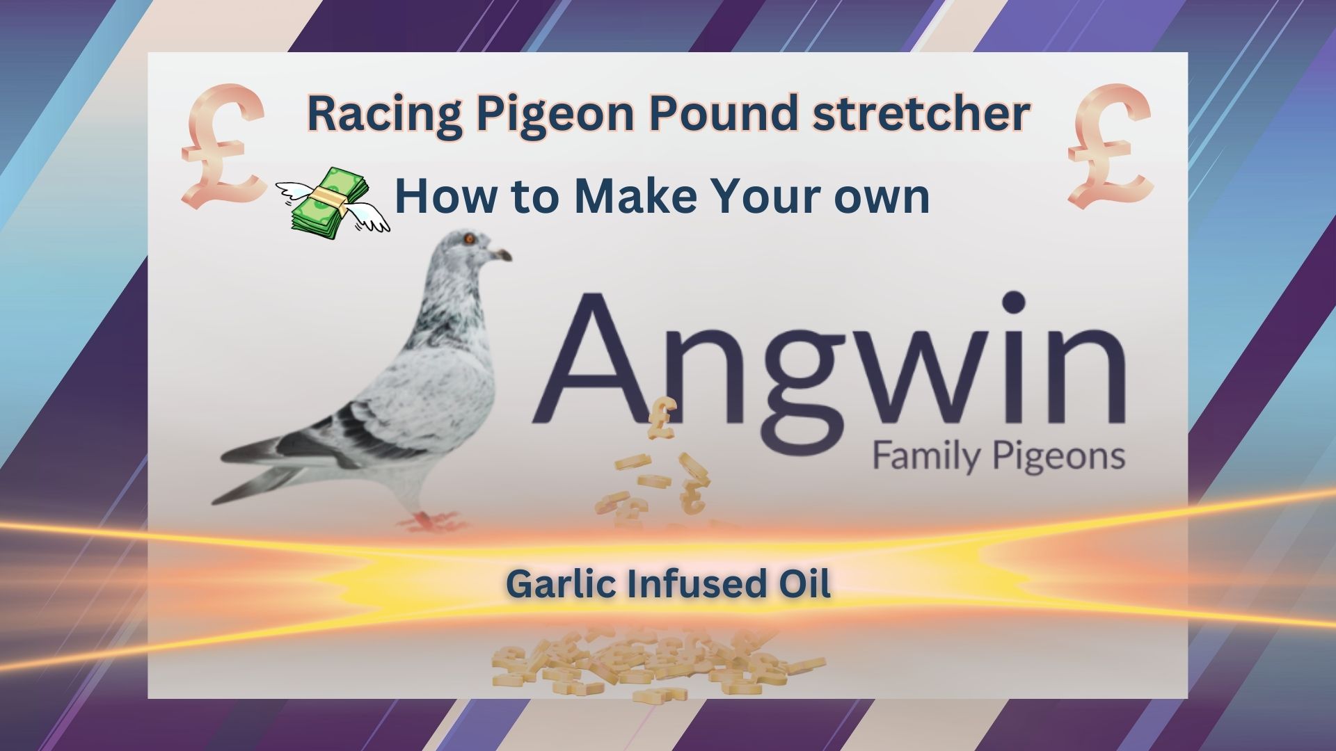 Racing Pigeons Infused Garlic in Cold Pressed Rapeseed oil Pound stretcher