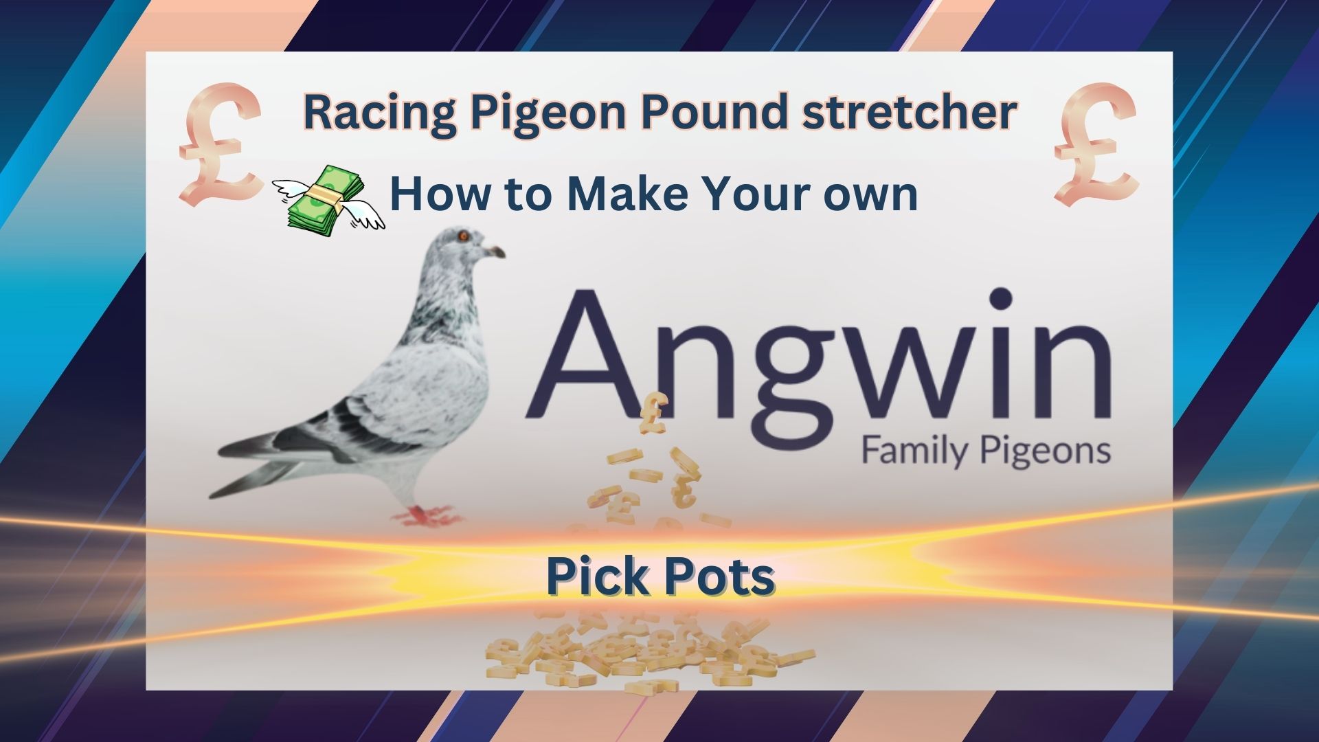 Pound Stretching Pick Pots. How to save money with Angwin Family Pigeons only 27p each