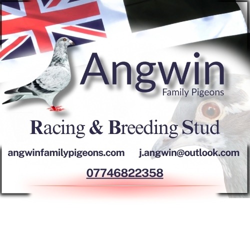 Website Poster