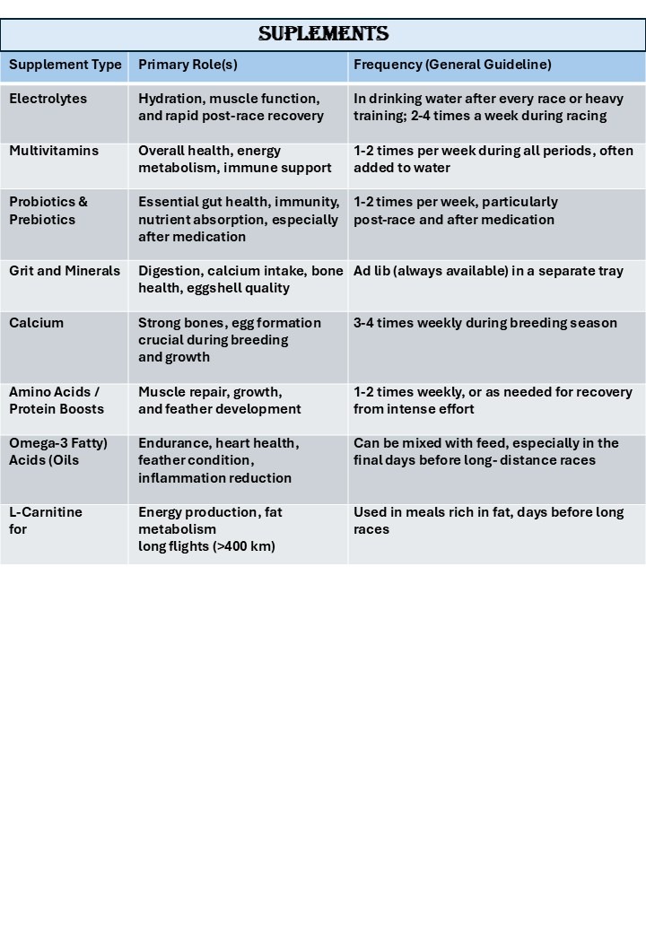 What Supplement’s Do